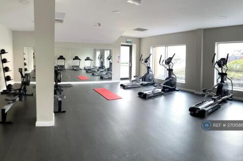 Fully Equipped Gym And Pilate Studio