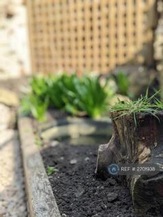 Yarden: Raised Bed And Trellis