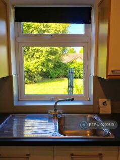 Kitchen/Garden Views