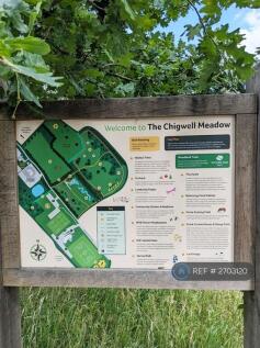 Chigwell Meadow