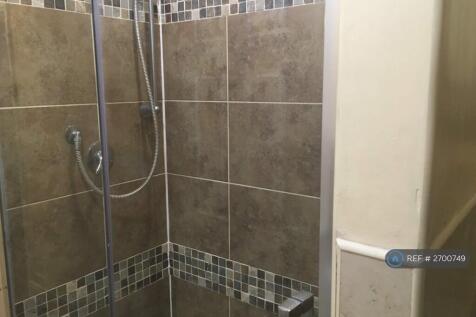 Downstairs Shower And Toilet