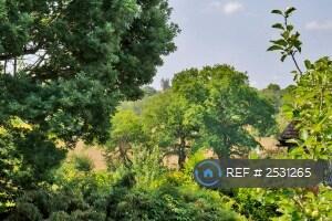 View Of Chiddingstone