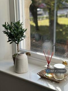 View From Living Area 