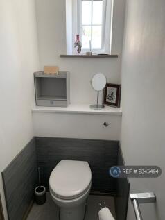 Shared Toilet With Clean Male Student 