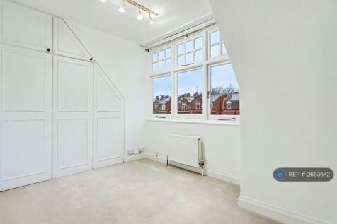 2nd Bedroom With Walk-In Closet