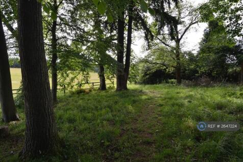 Beautiful Woodland Walks On Property