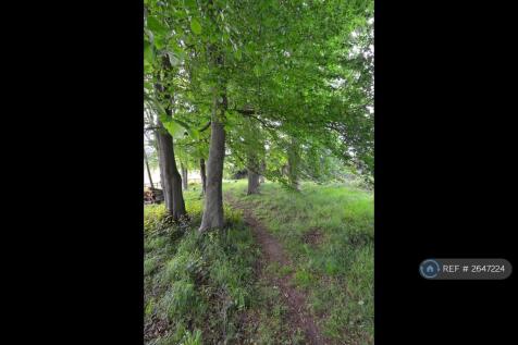 Private Woodland Walk