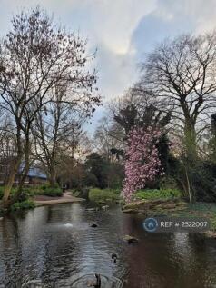 Parks Nearby Including Duck Ponds