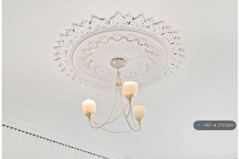 4th Bedroom - Cieling Rose