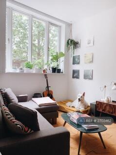 Living Room (Downstairs)