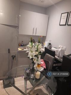 Living Area/Kitchenette