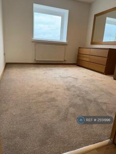 New Carpets In Bedrooms