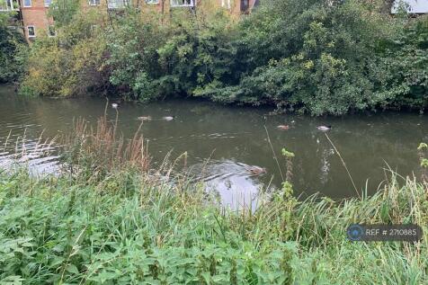 Balcony View Of The River 