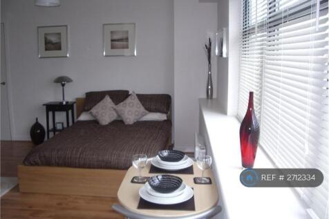 Living Room /Bedroom