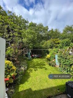 Garden View From Back Door