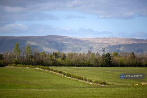 View From Back Of The Campsies