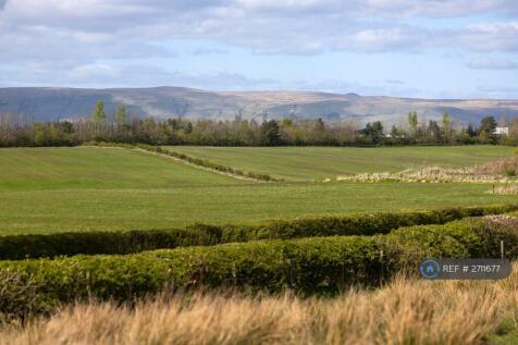 View From Back Of Flat 