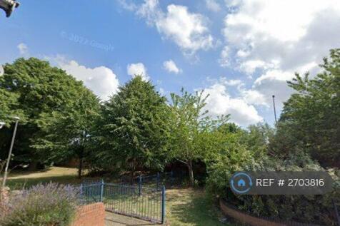 Front View Trees And Lawns 