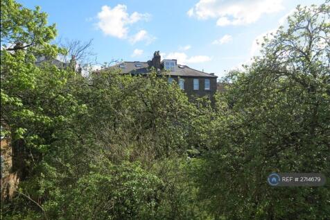 Garden View From Living Room