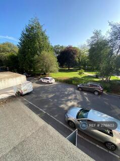 Views From The Lounge (Ashley Cross Green)