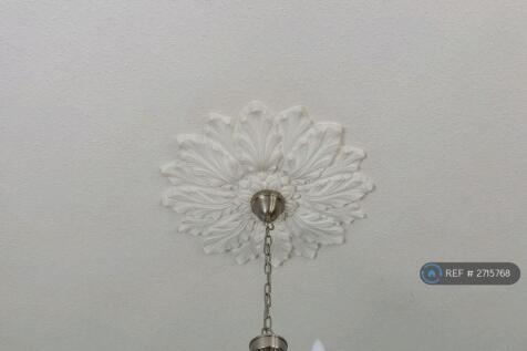 Living Room Ceiling Rose