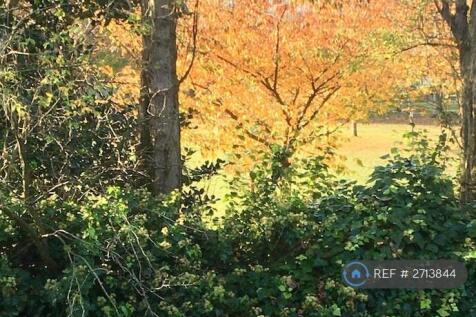 View Overlooking Park