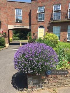 The Front Of The House