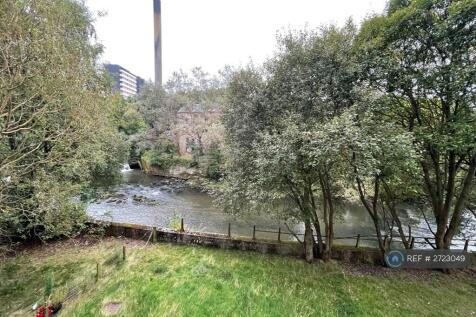 South Facing View From Living Room