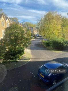 View From Living Room Window