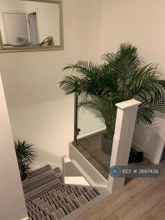 Stairs To Lower Level