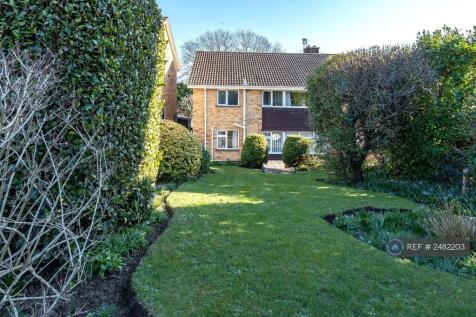 Garden. (Looking Down The Hill)