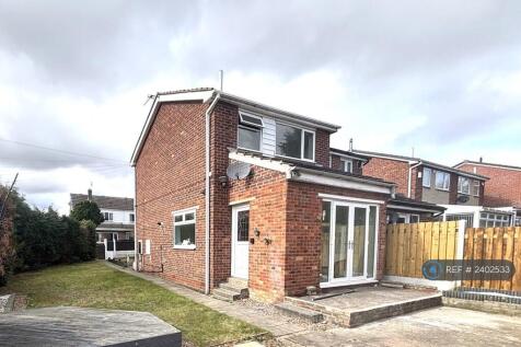 Back Of The House