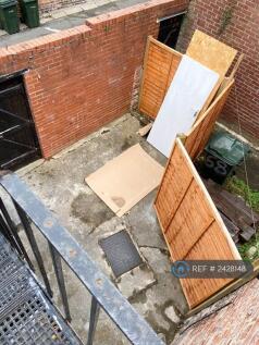 Rear Yard