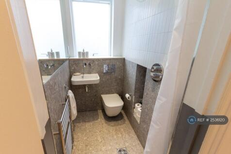 Downstairs Shower