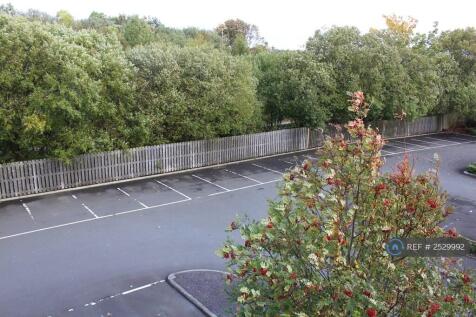 Car Parking