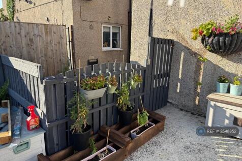 Back Garden Fence Entry