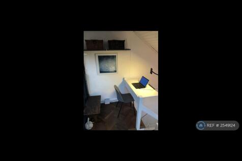 Study Area 