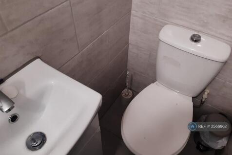Downstairs Shared Bathroom