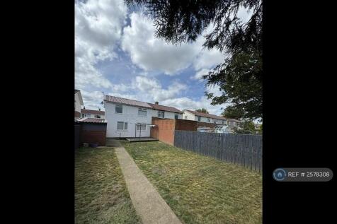 Back Garden