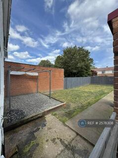 Back Garden