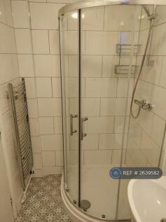 Bathroom (Downstairs)