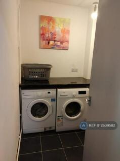 Laundry Room (Downstairs)