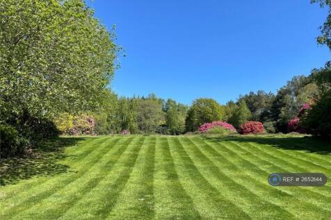 Grounds