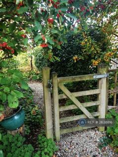 Communal Riverside Garden