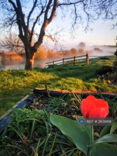 Communal Riverside Garden