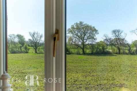 Rear Window View
