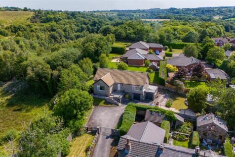 Aerial View - Surroundings