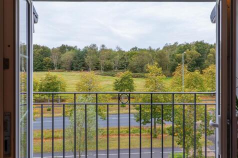 Lounge View