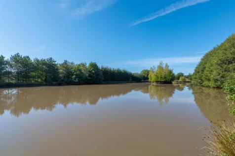 Pond