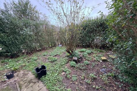 Front garden.jpg